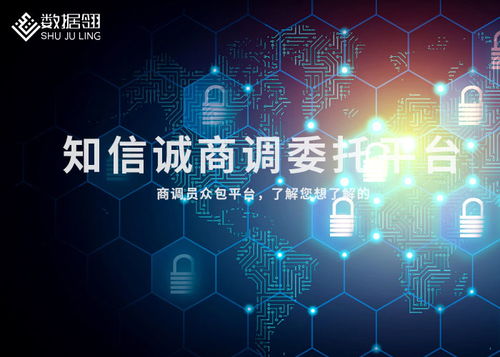 平凉大米市场调查全攻略 从目标到渠道的实践指南